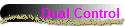 Dual Control